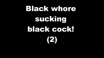 Trifling black Las Vegas scum"Bi"otch Disrespected me then sucked my cock."