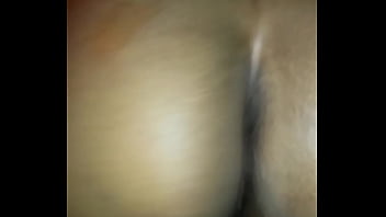 mixed breed doggy from behind