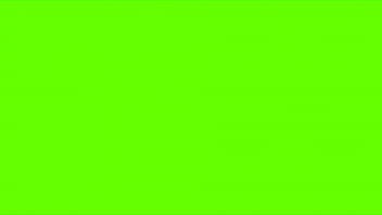 schermo verde