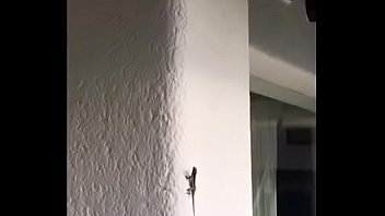 勇敢なトカゲが壁に引っかかる