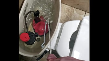 Pissing inside toilet