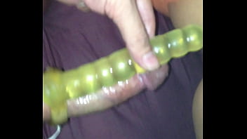 anal dildo and pinchila in shell