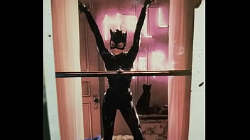 Catwoman nerd porn by Max Shenanigans