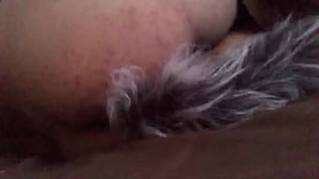foxtail in bed