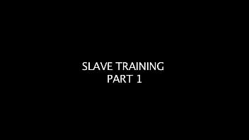 Slave Training Part 1