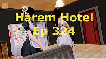 Harem Hotel 324