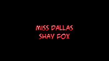 Shay Fox regarde Miss Dallas lécher les couilles de son mari pendant qu'elle le baise