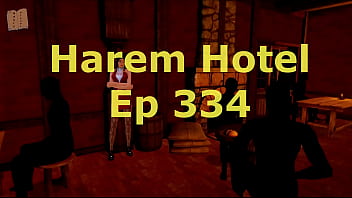 Hôtel Harem 334