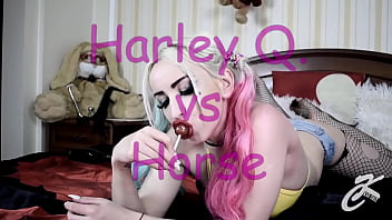 Harley Q. VS Caballo
